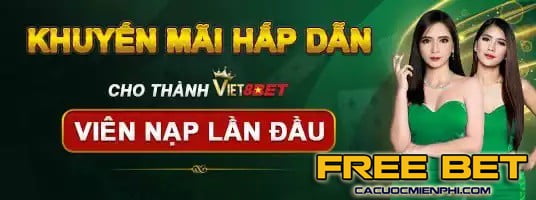 Tk lô gan khánh hòa